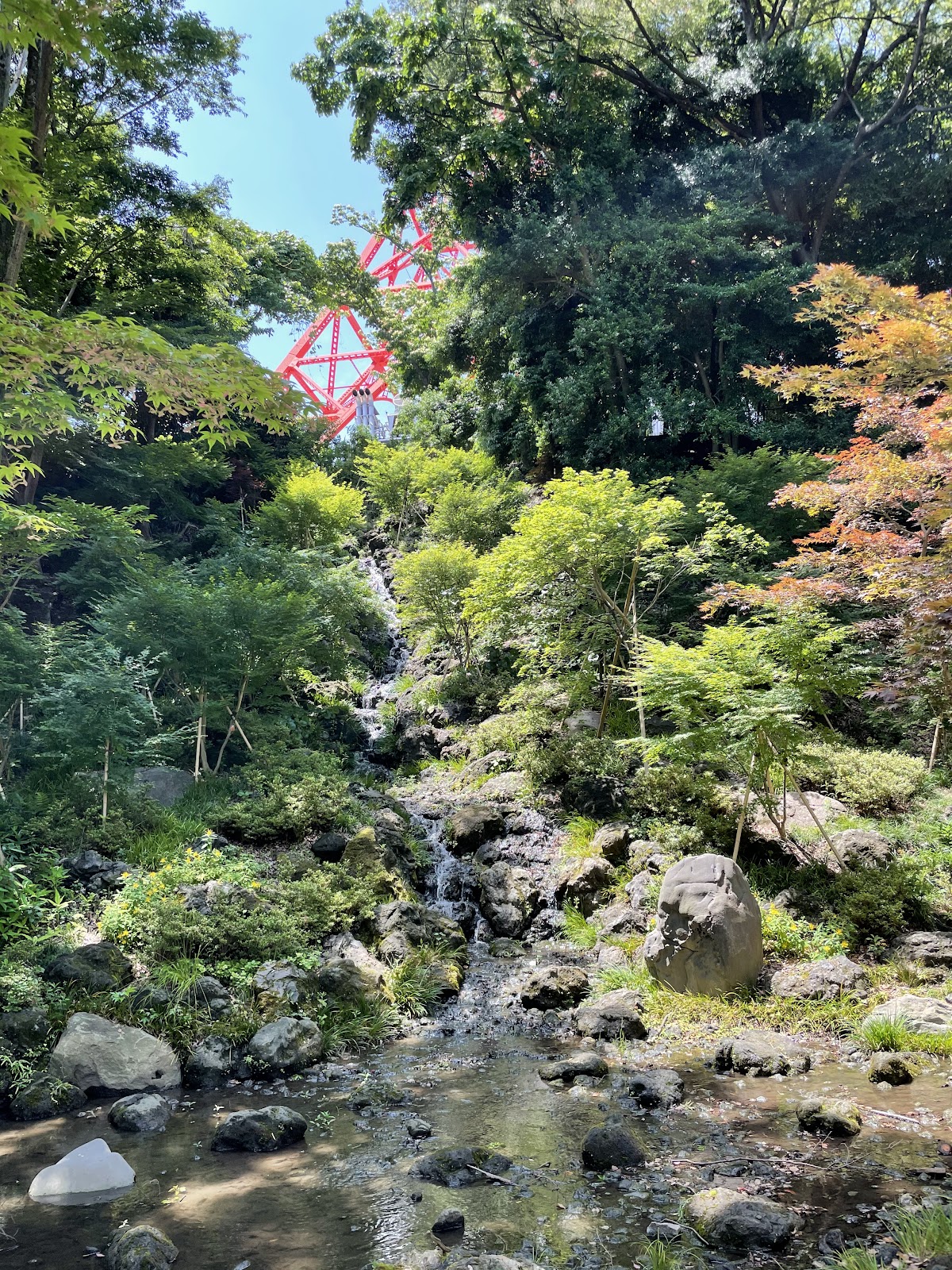Maple Waterfall 4