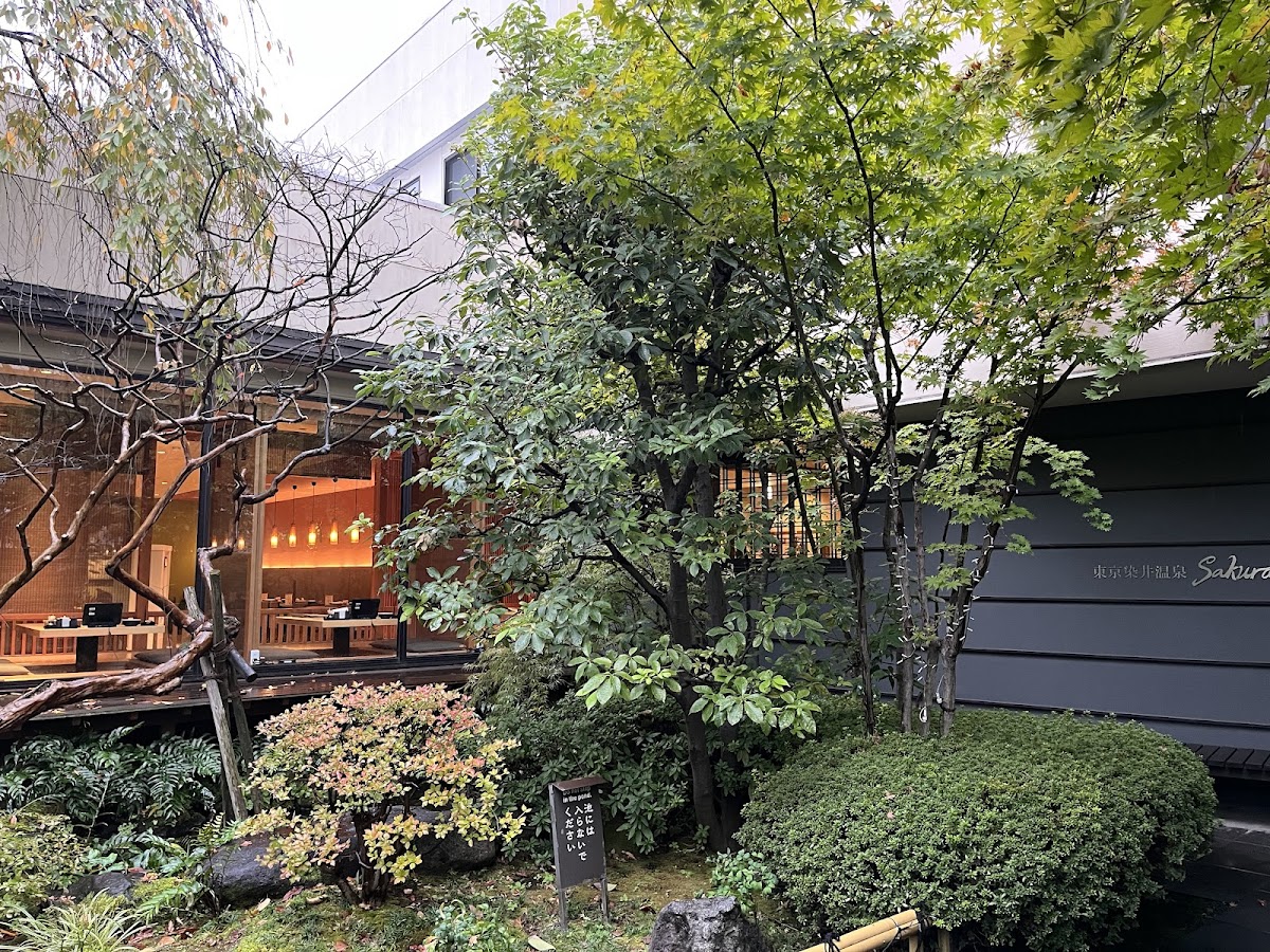 Tokyo Somei Onsen SAKURA 3