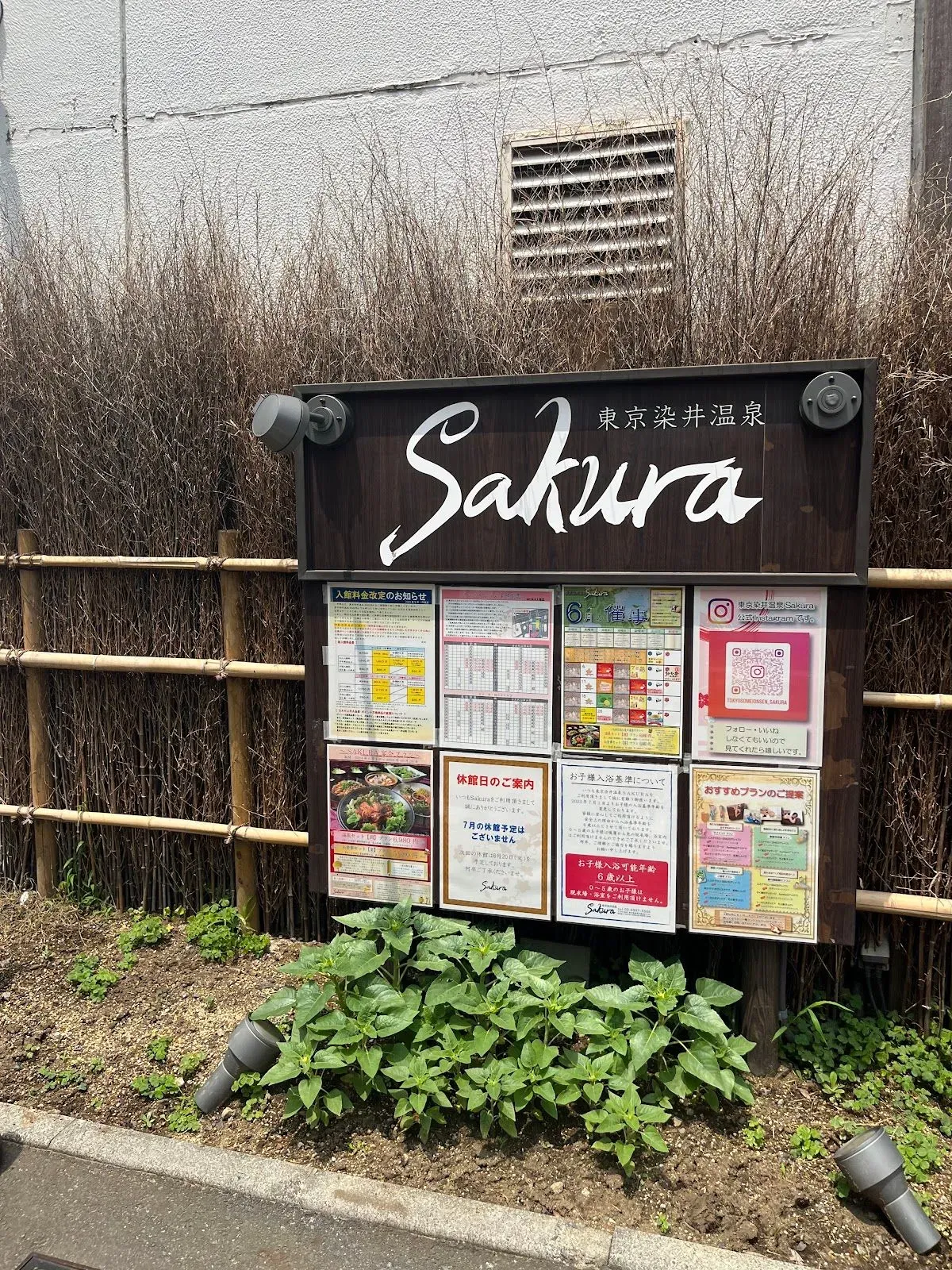 Tokyo Somei Onsen SAKURA 4