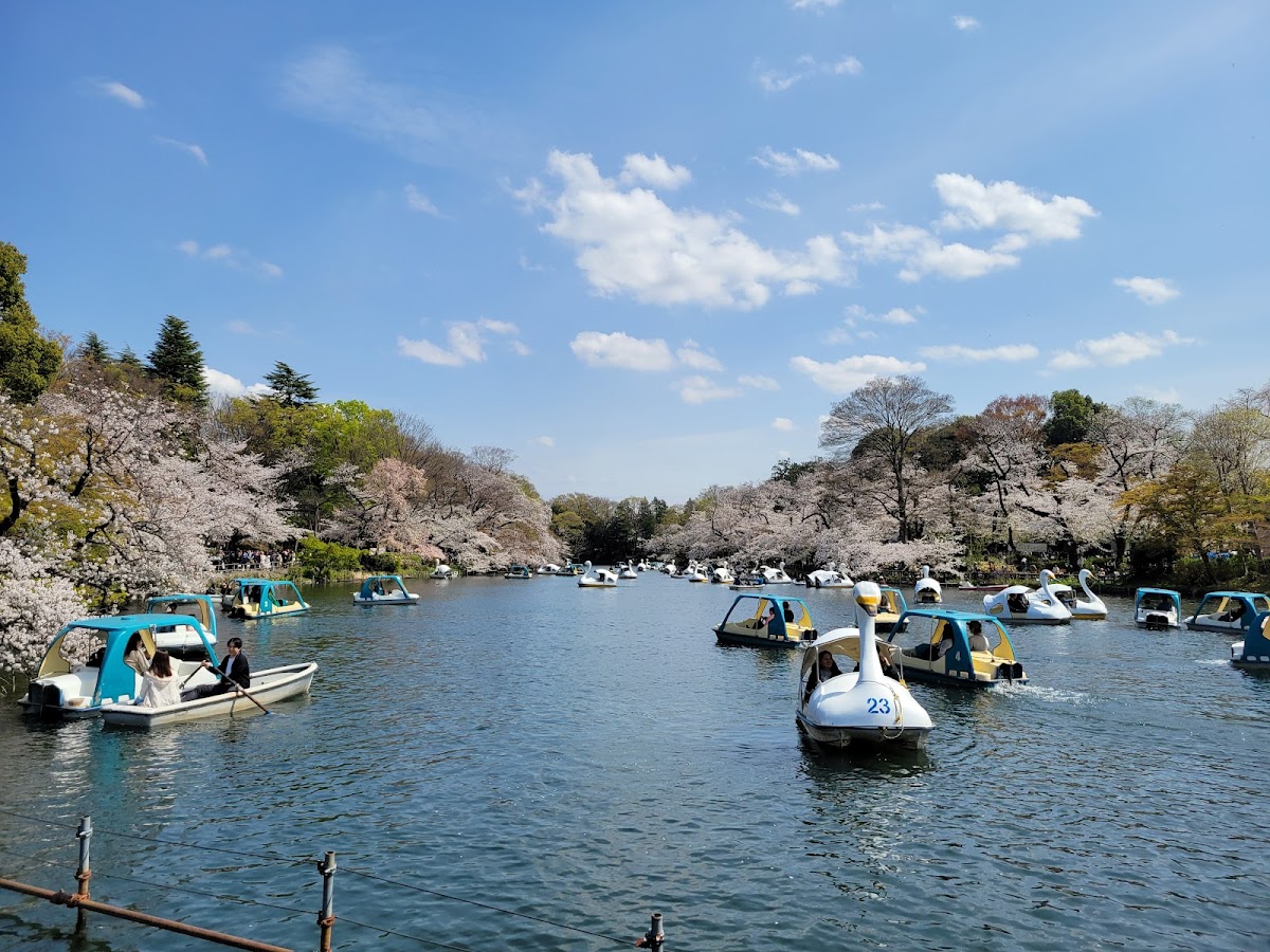 Inokashira Park 2