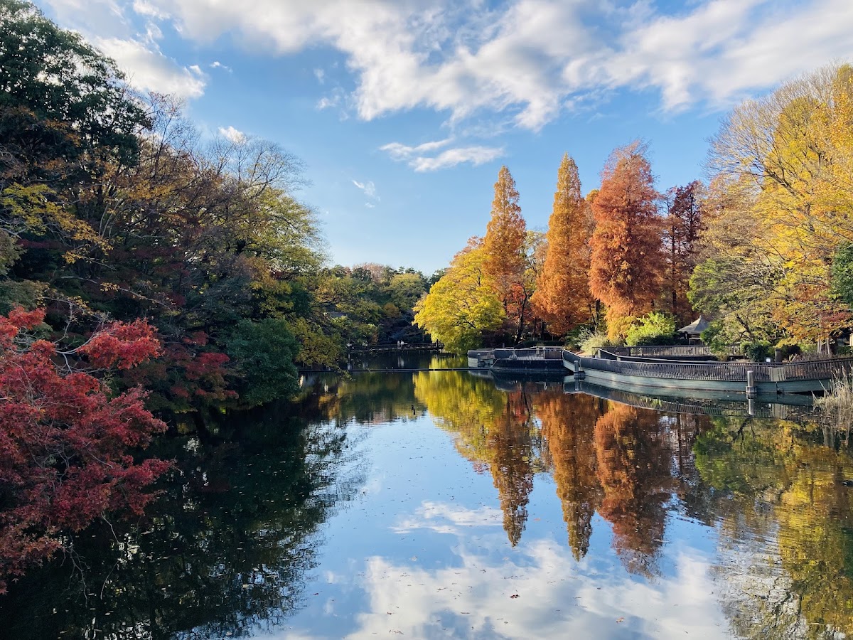 Inokashira Park 3