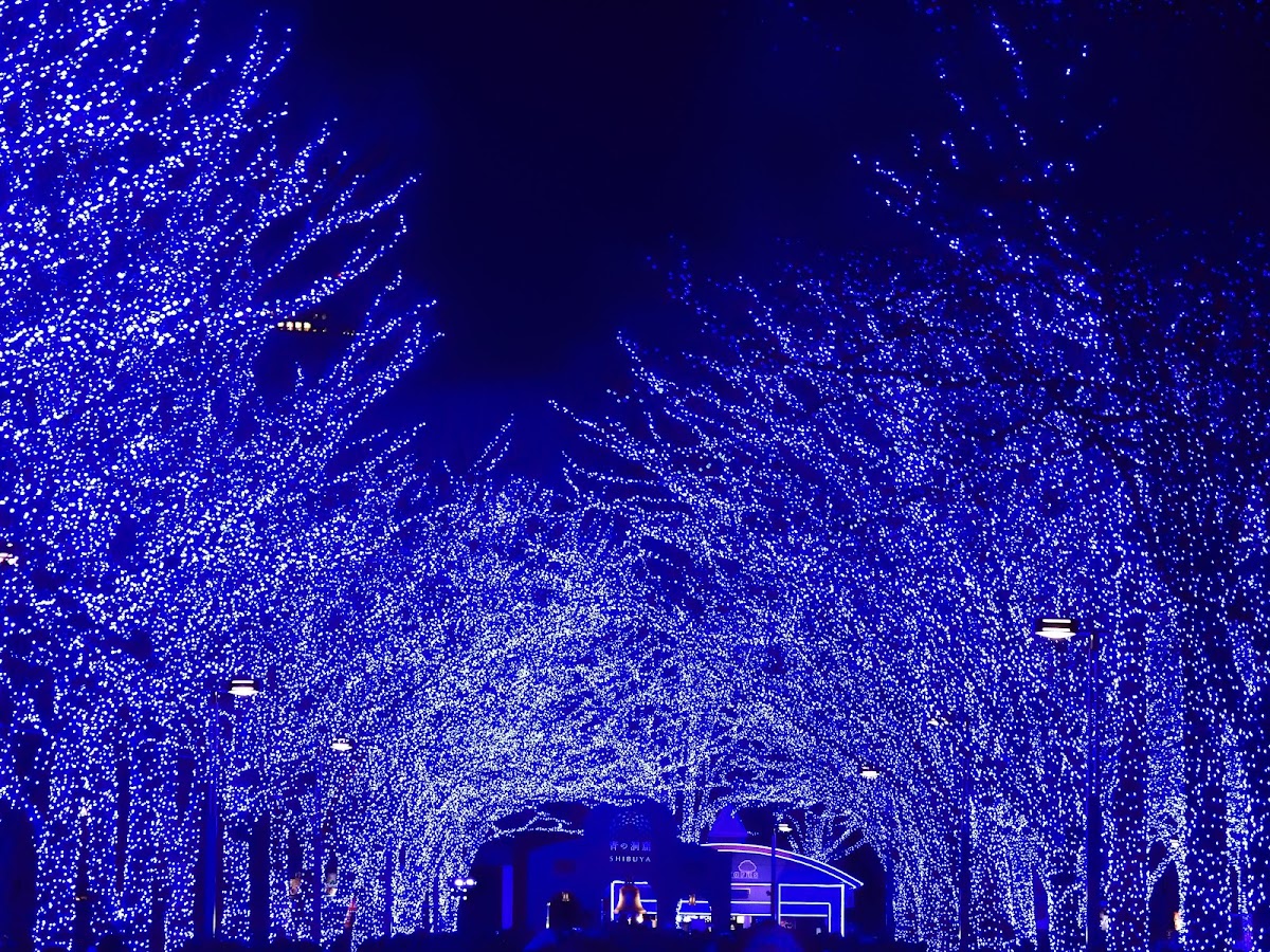 Yoyogi Park 4