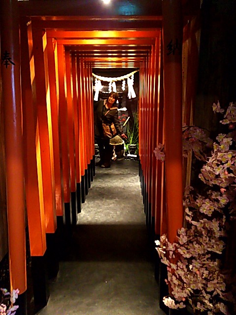 Ninja Trick House In Tokyo 2