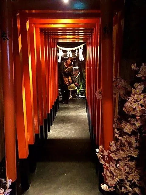 Ninja Trick House In Tokyo 2
