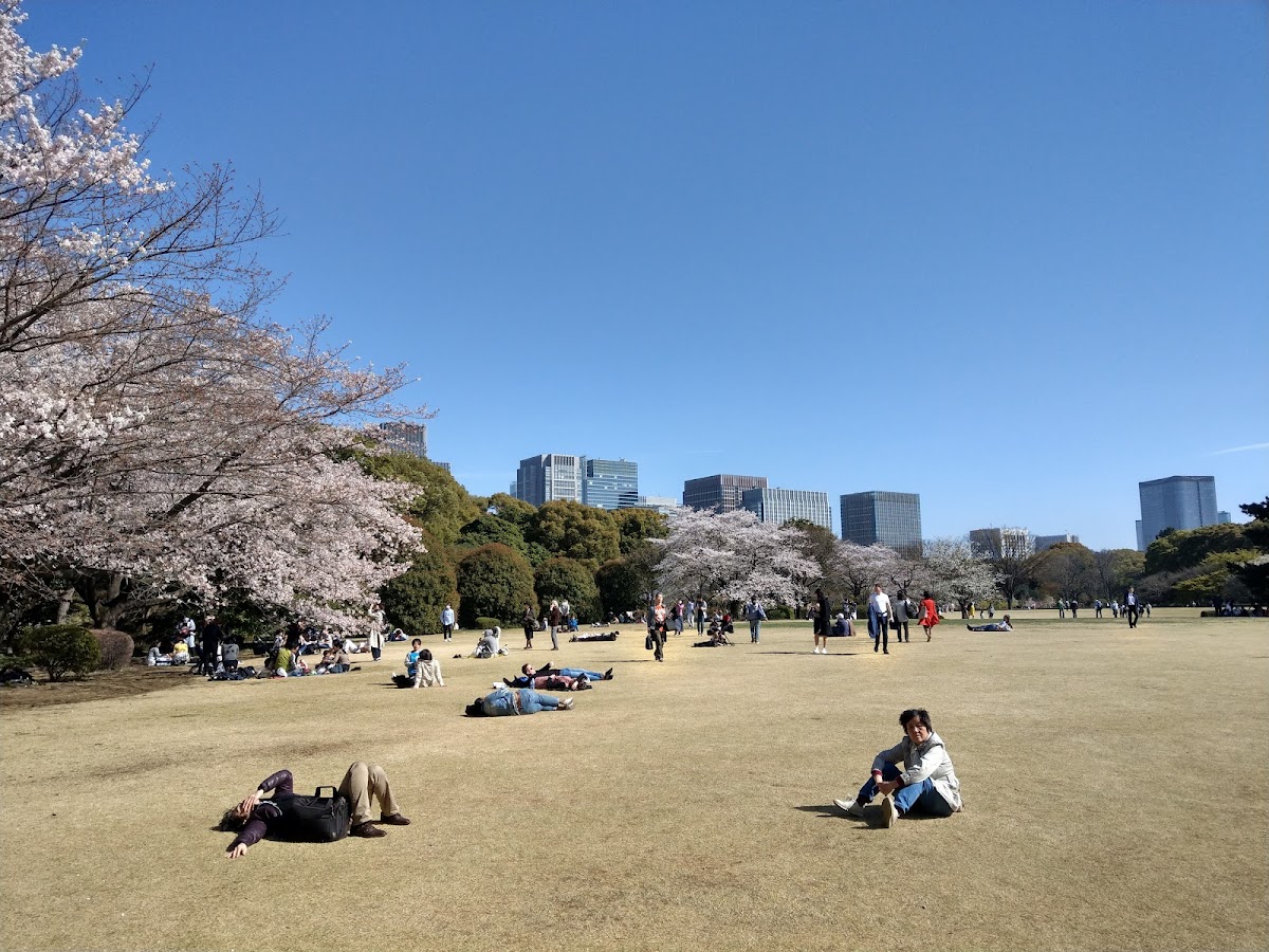 Imperial Palace East National Gardens 2