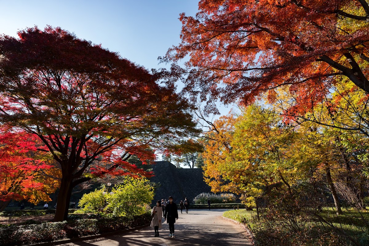 Imperial Palace East National Gardens 3