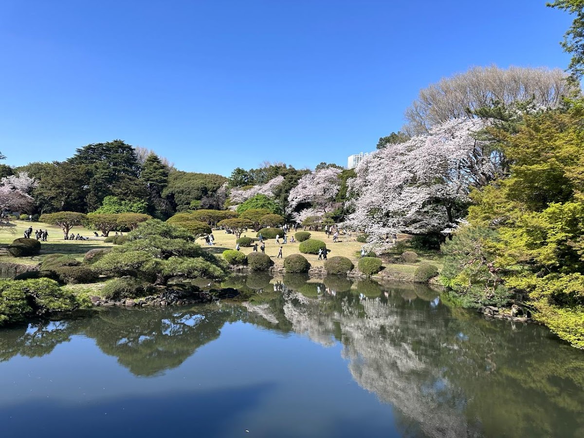 Shinjuku Gyoen National Garden 2