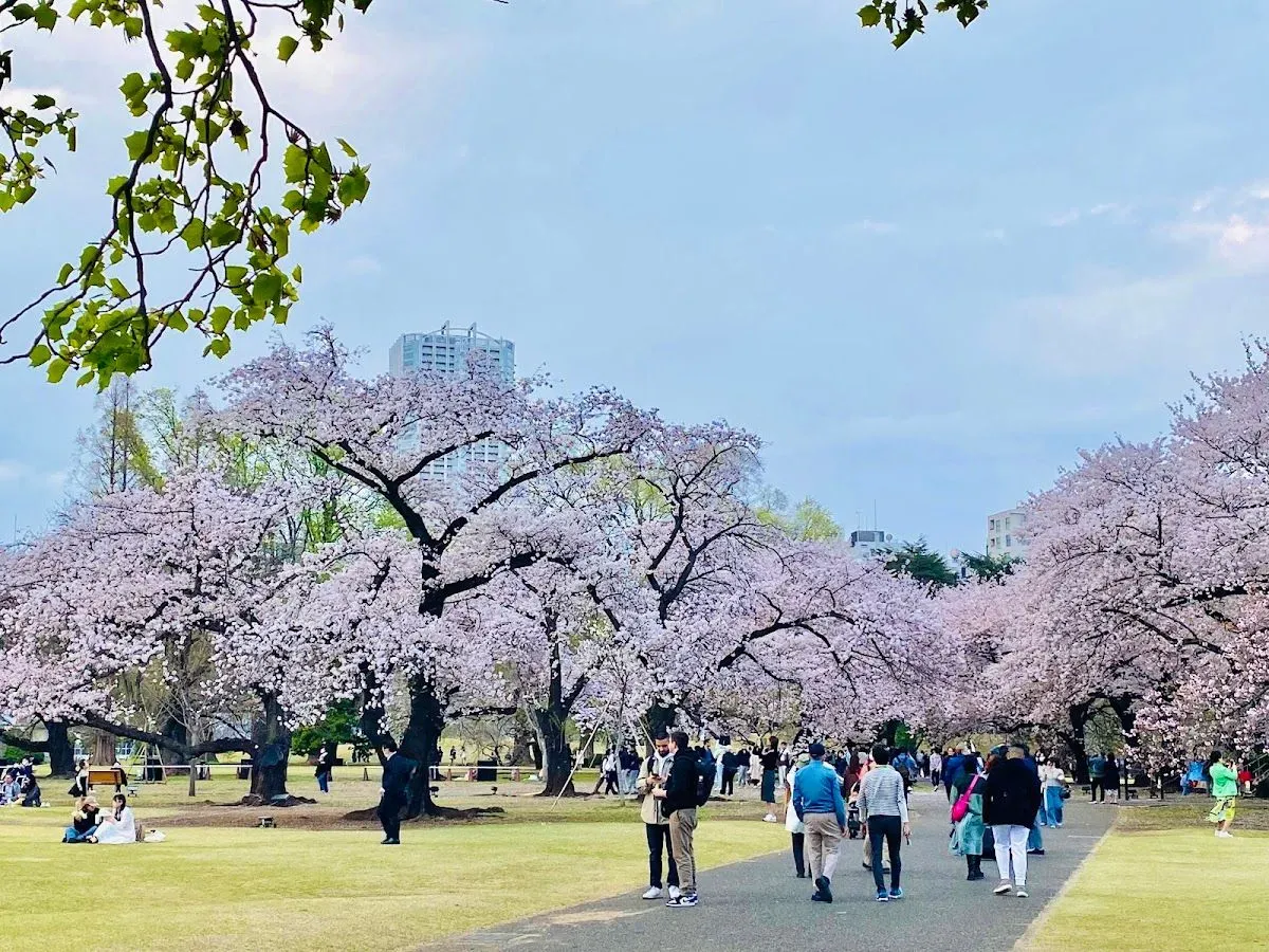 Shinjuku Gyoen National Garden 3