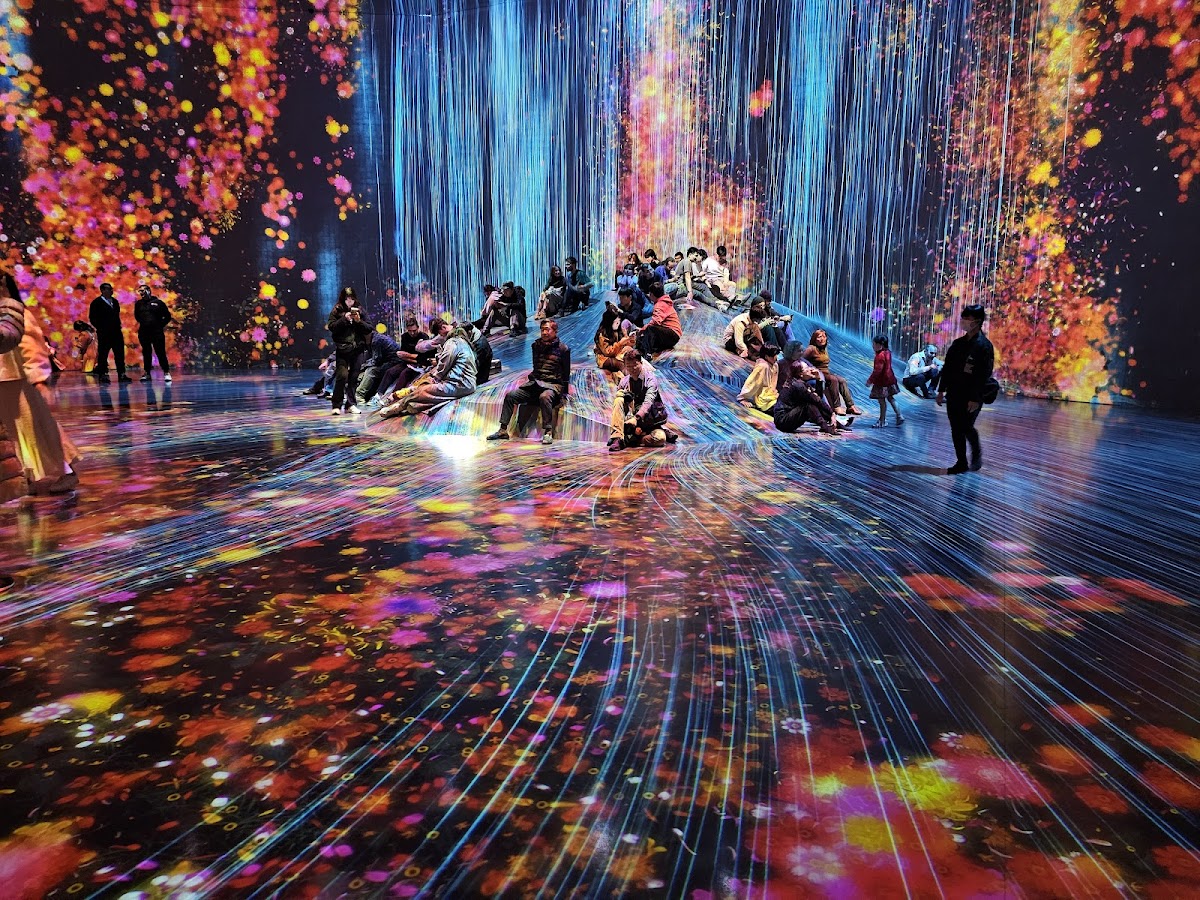 teamLab Borderless: MORI Building DIGITAL ART MUSEUM 2
