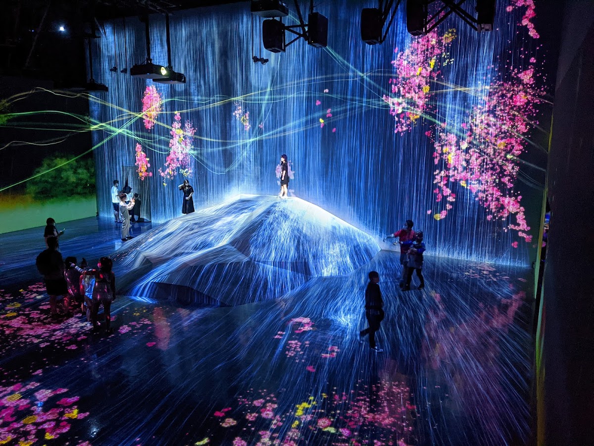 teamLab Borderless: MORI Building DIGITAL ART MUSEUM 3