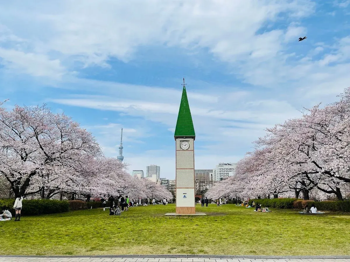 Sarue Park