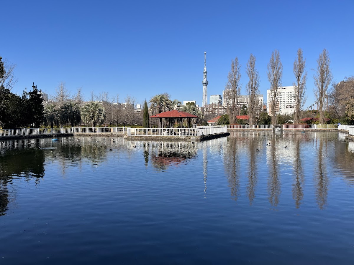 Sarue Park 4