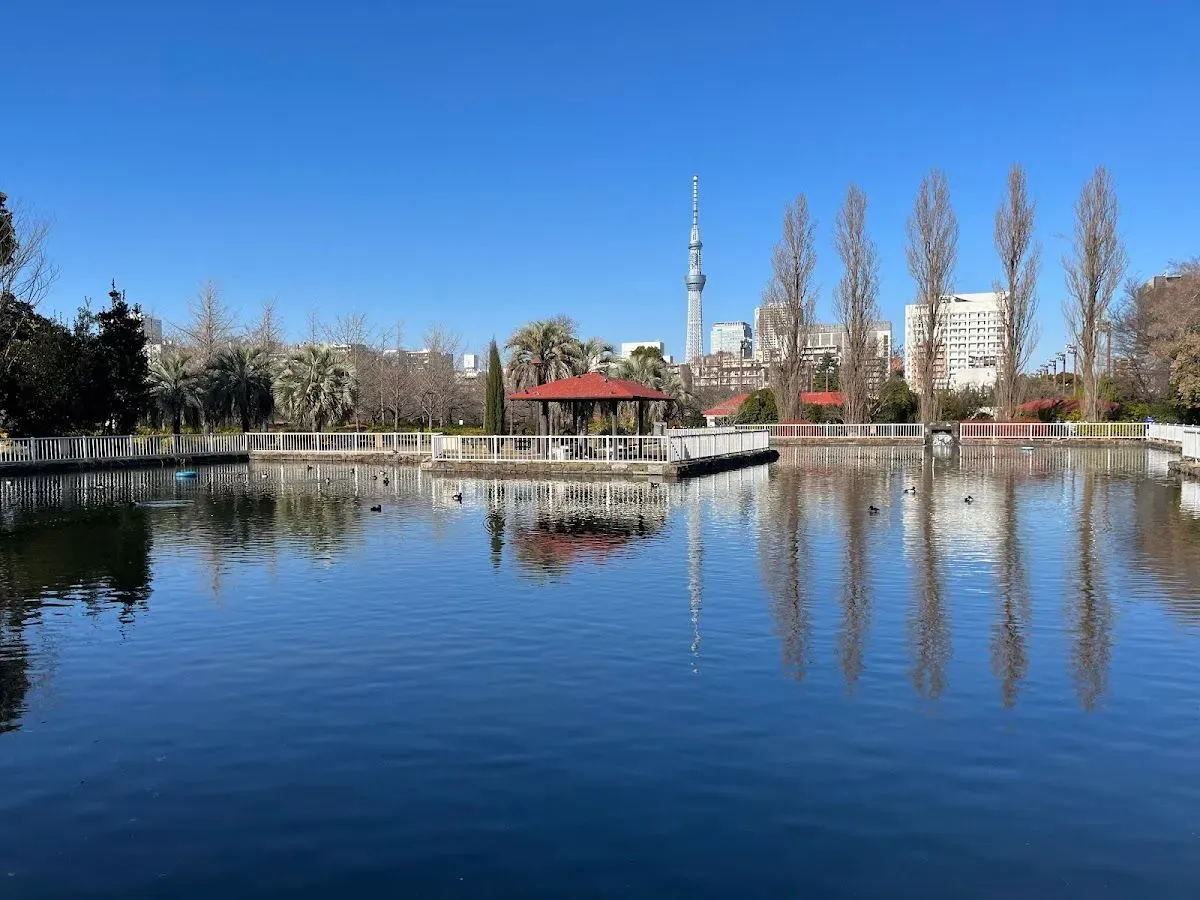 Sarue Park 4
