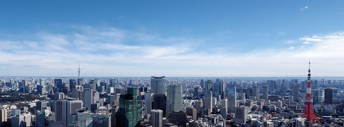 Tokyo Free Walking Tour - Tokyo Localized