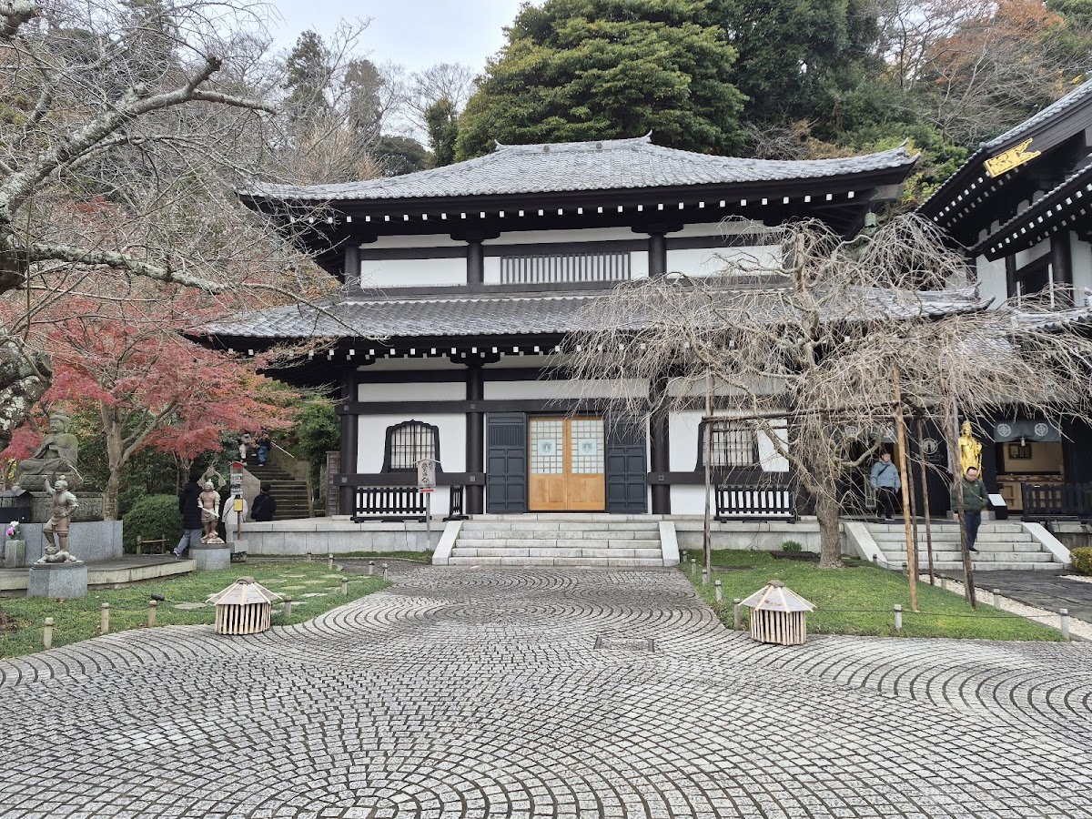 Tokyo Free Walking Tour - Tokyo Localized 4