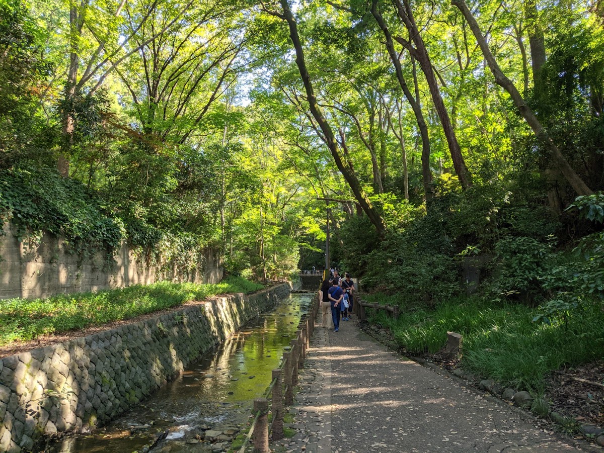 Todoroki Ravine Park 3