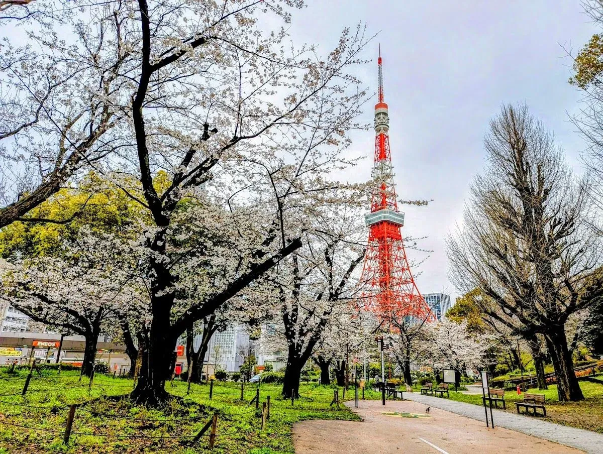 Shiba Park 2
