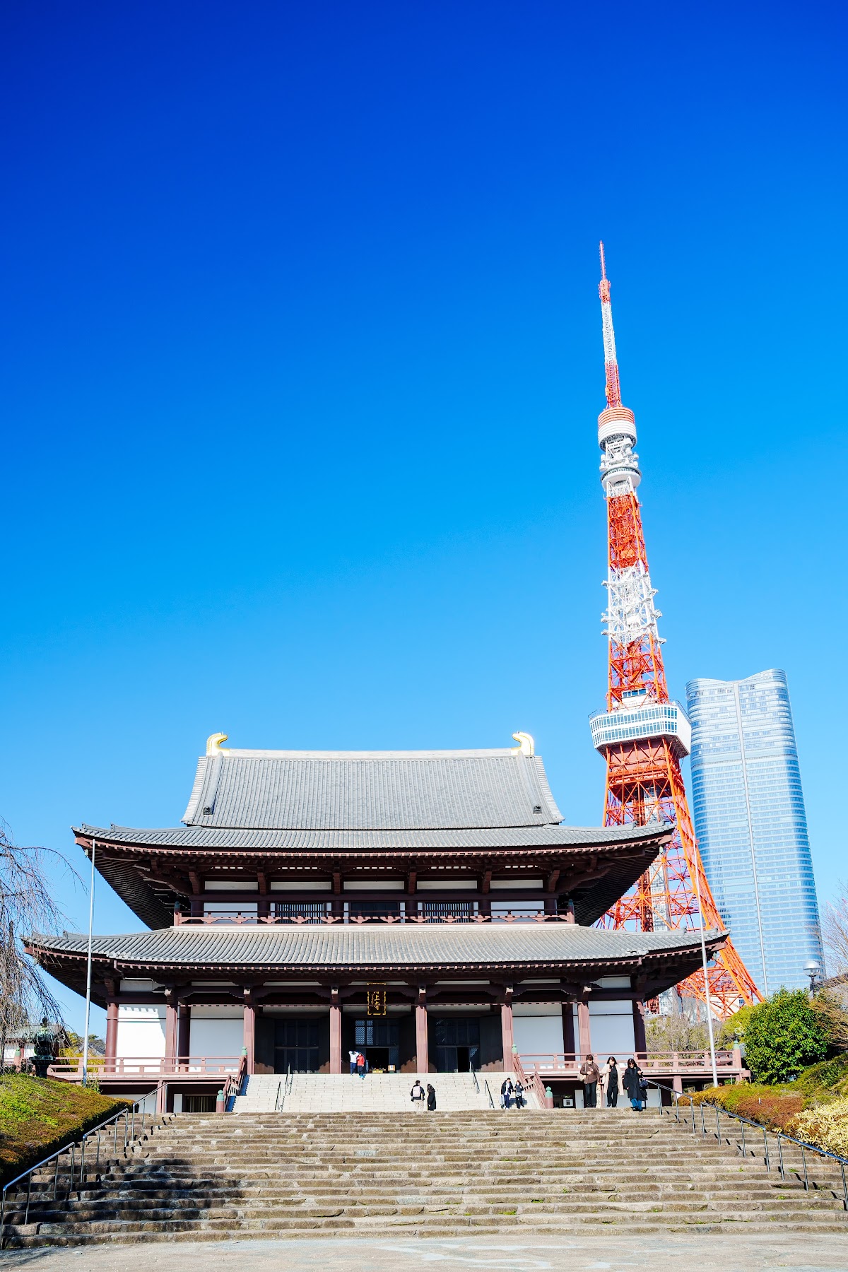 Shiba Park 3