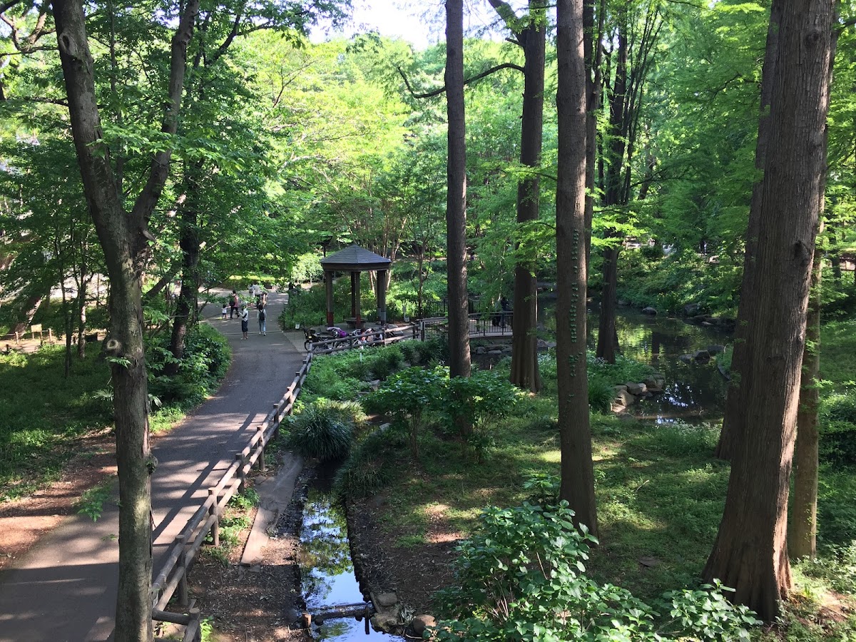 Rinshi-no-mori Park 2
