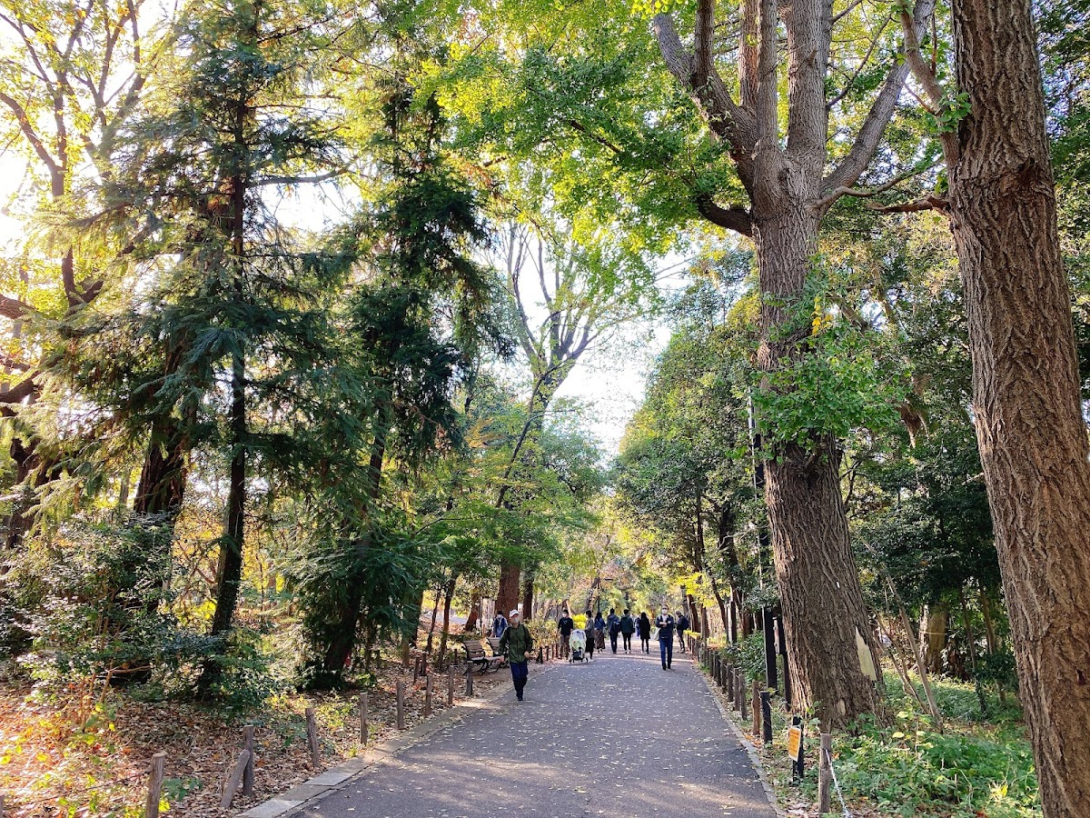 Rinshi-no-mori Park 3