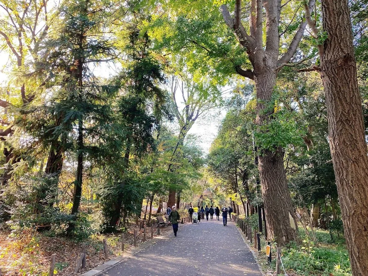 Rinshi-no-mori Park 3