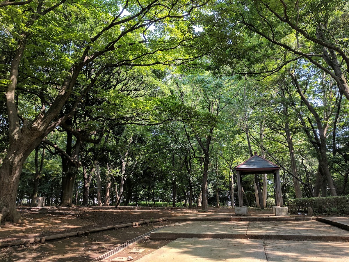 Rinshi-no-mori Park 4