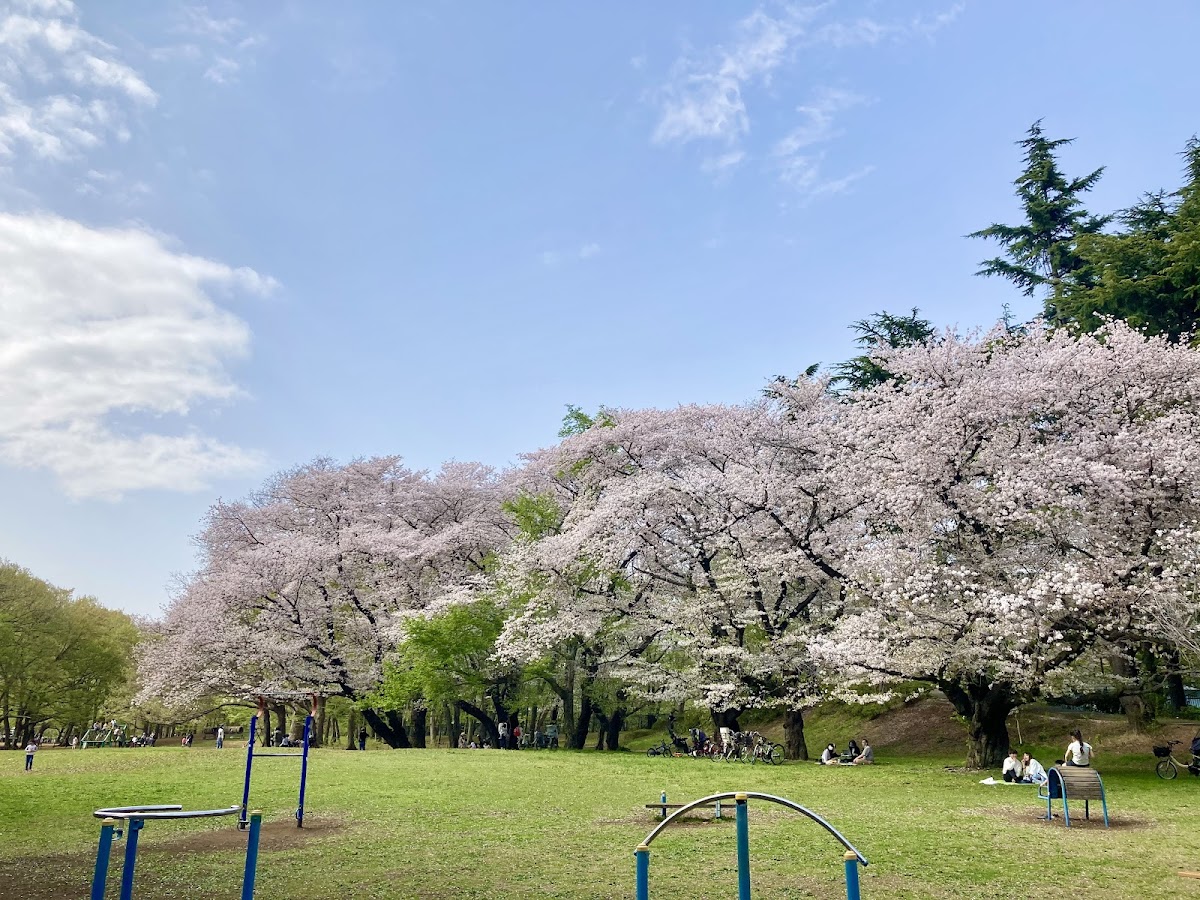 Nogawa Park