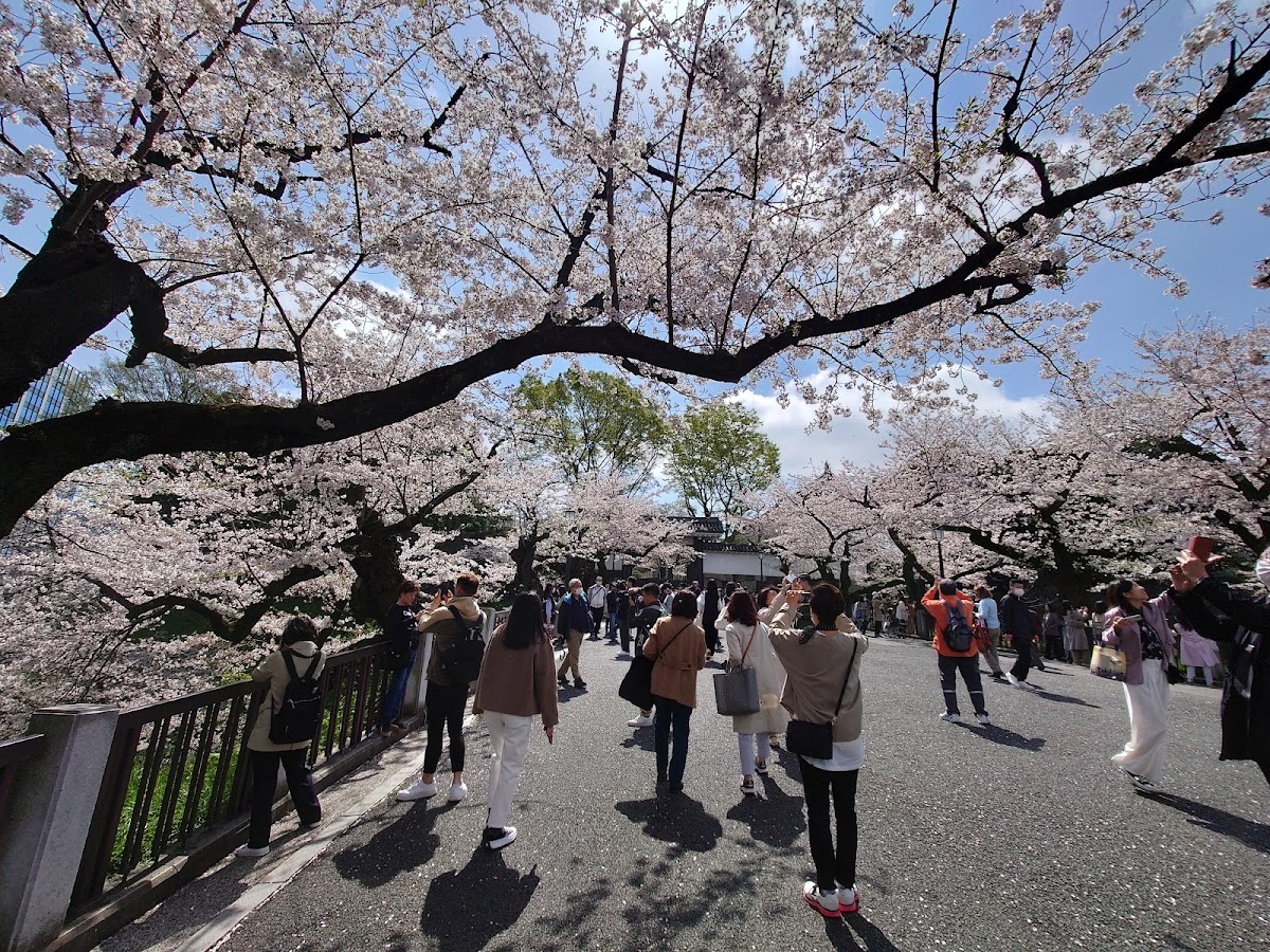 Kita-no-maru Park 2