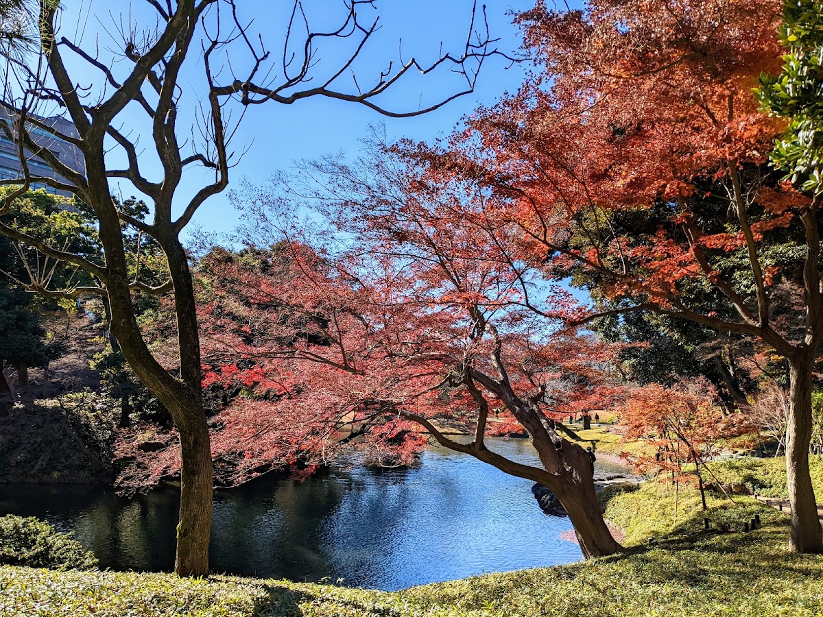 Kita-no-maru Park 4