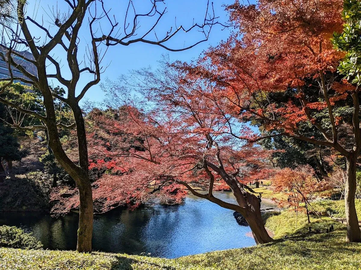 Kita-no-maru Park 4