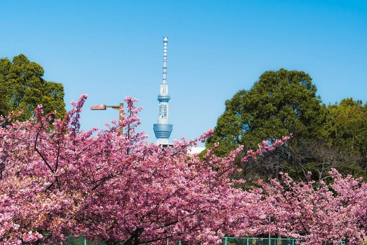 Kiba Park 4