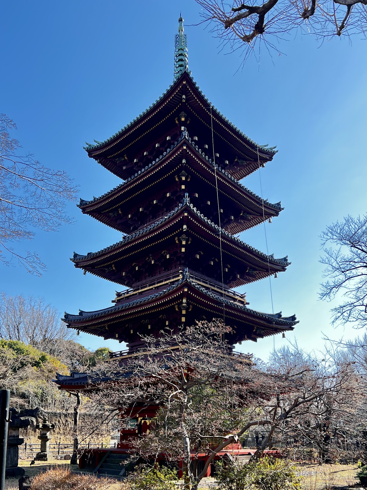 Ueno Zoo 2