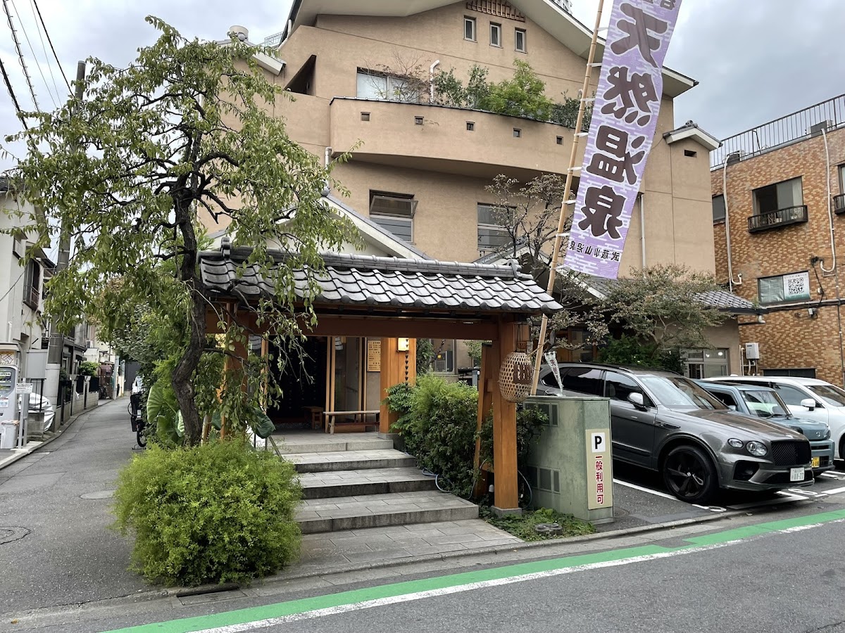 Musashi Koyama Onsen Shimizu Yu 3