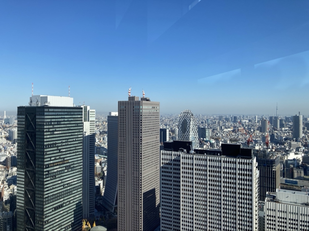 North Observation Deck, Tokyo Metropolitan Government Building No. 1 4