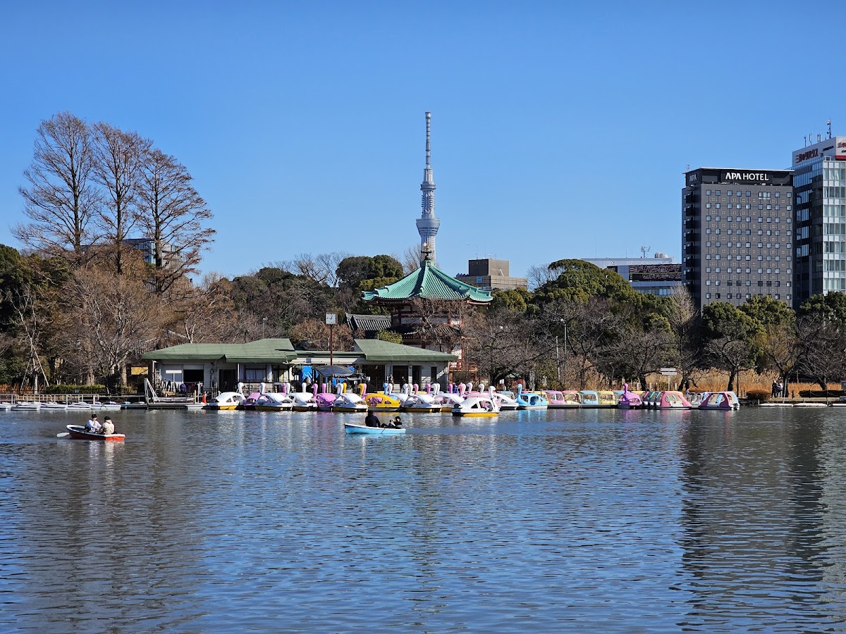 Shinobazu Pond 2