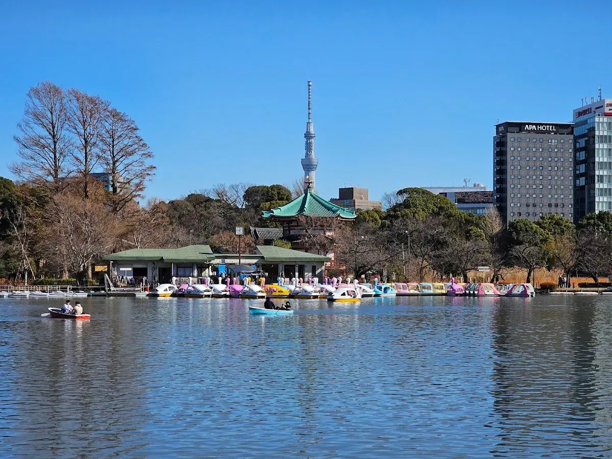 Shinobazu Pond 2