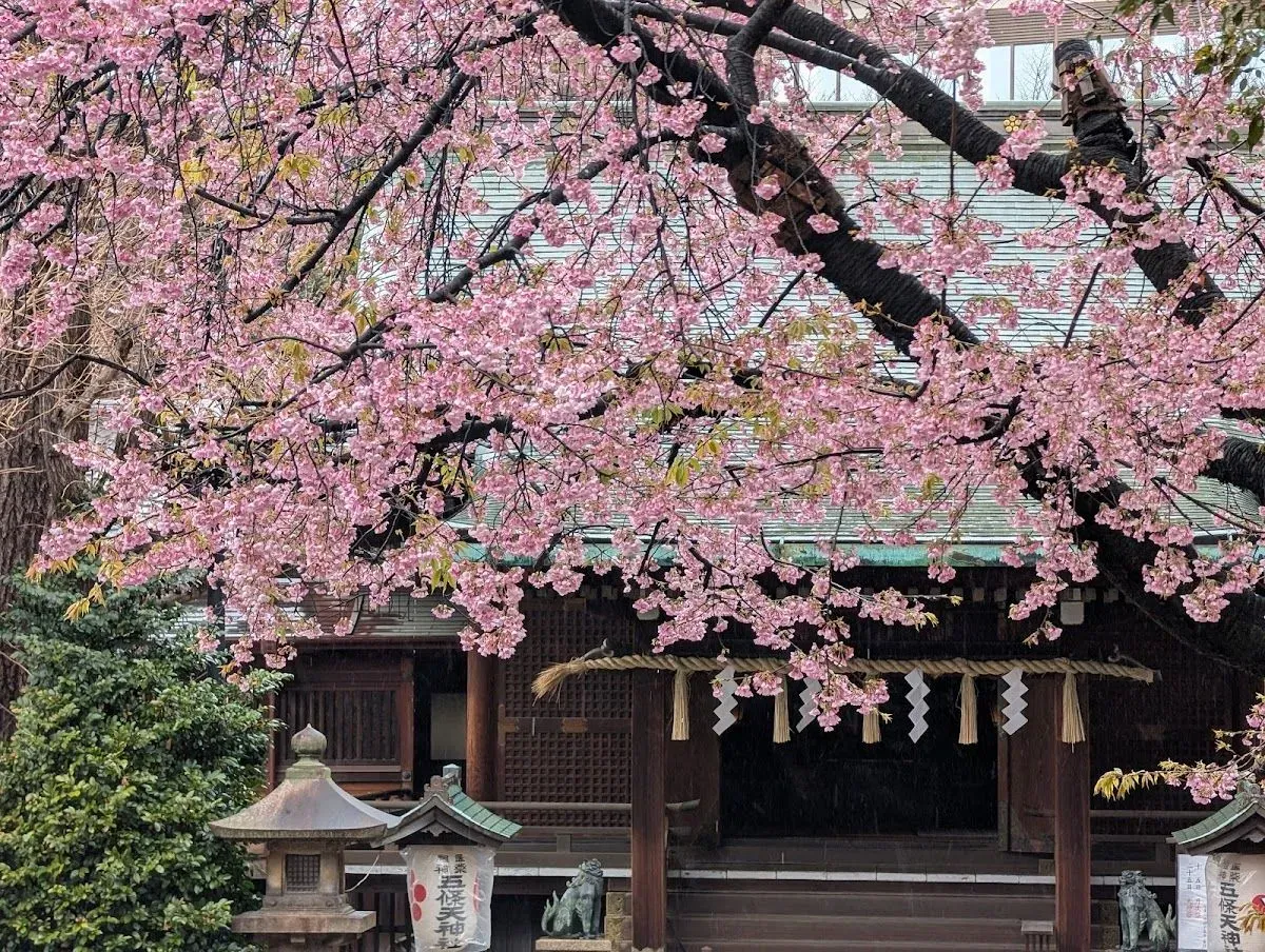 Ueno Park 2