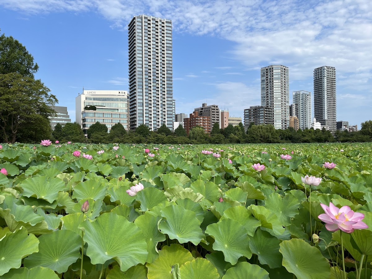 Ueno Park 3