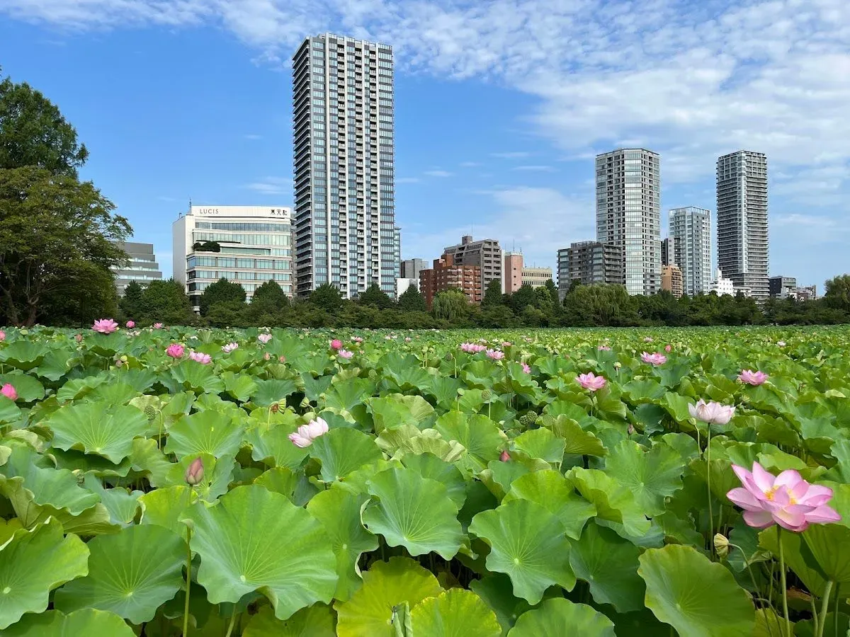 Ueno Park 3