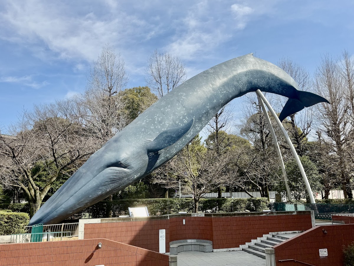 Ueno Park 4