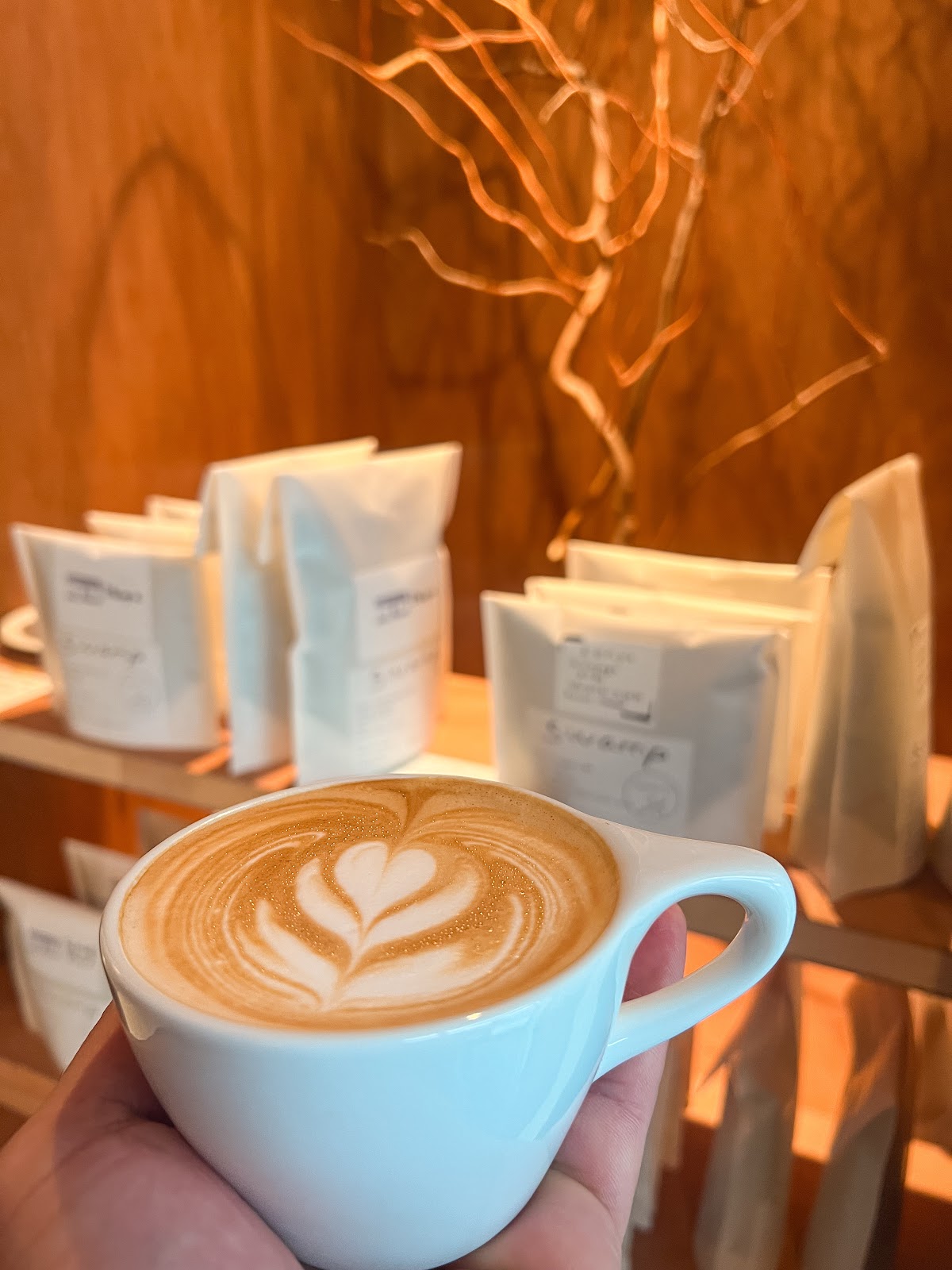 coffee swamp 3