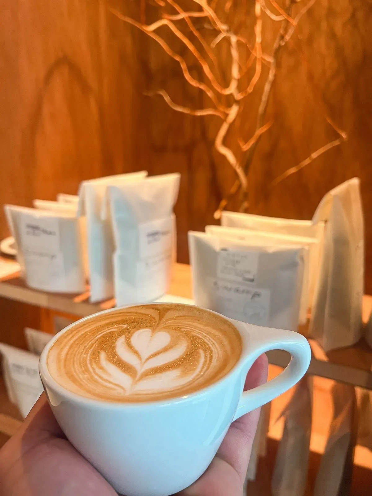 coffee swamp 3