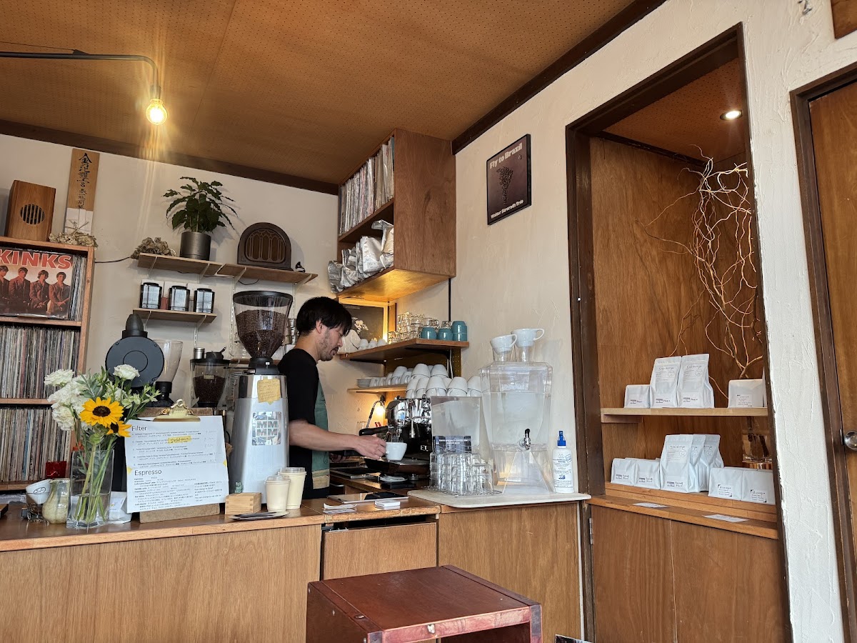 coffee swamp 4