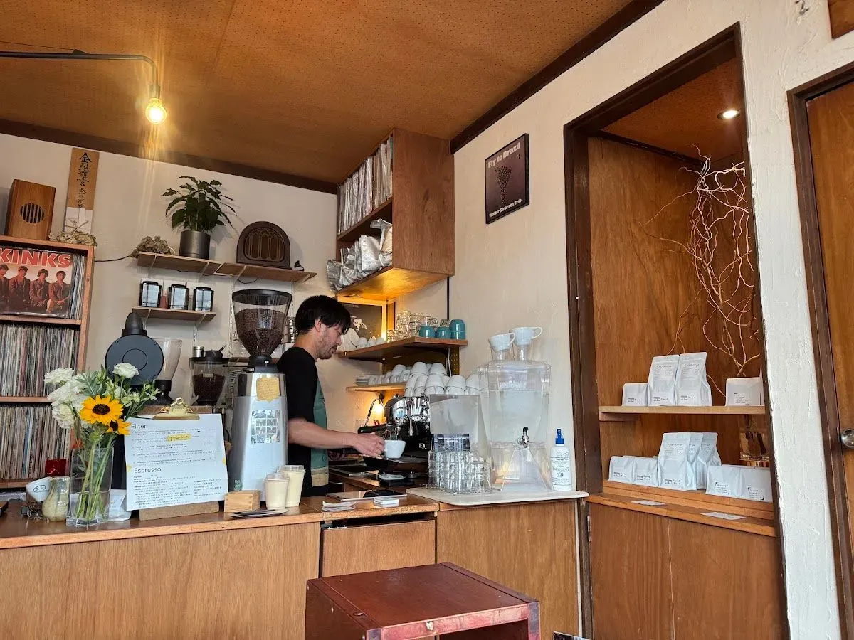 coffee swamp 4