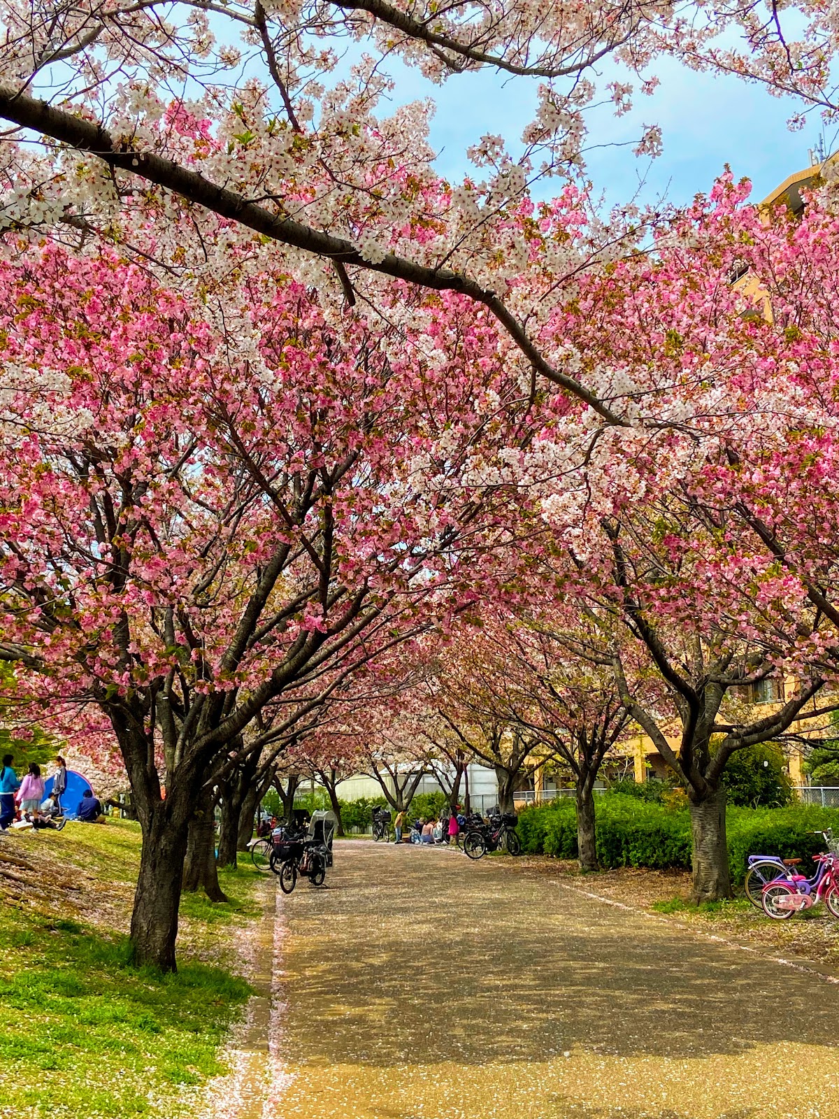 Gyosen Park 4