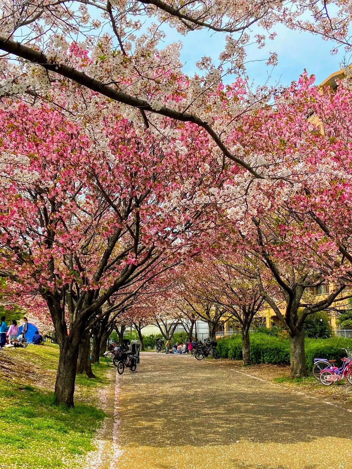 Gyosen Park 4