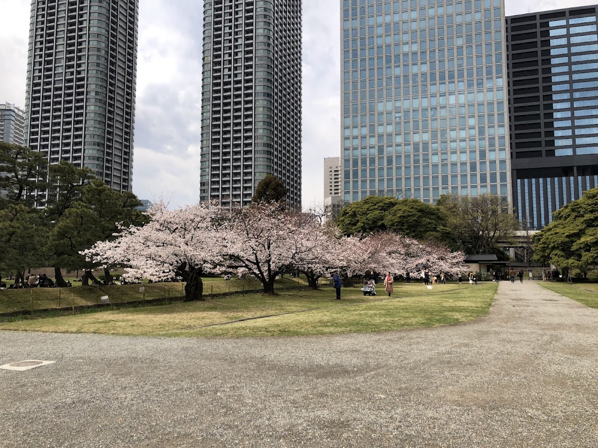 Hamarikyu Gardens 3