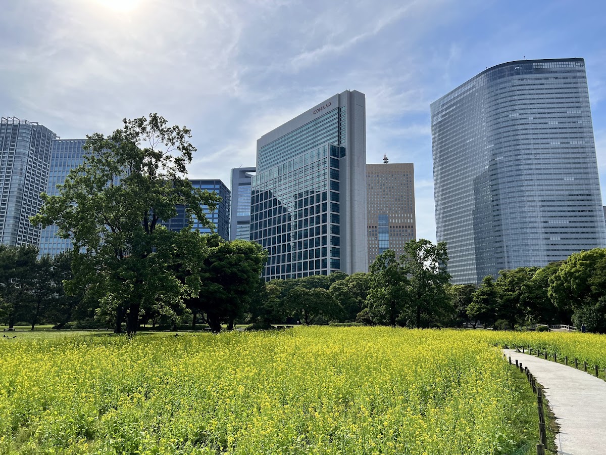 Hamarikyu Gardens 4