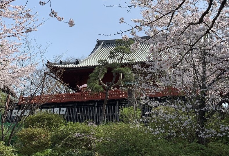 Tokyo tour · Día 1 in Asakusa, Ueno, Akihabara, Shinjuku, Japan — photo 4