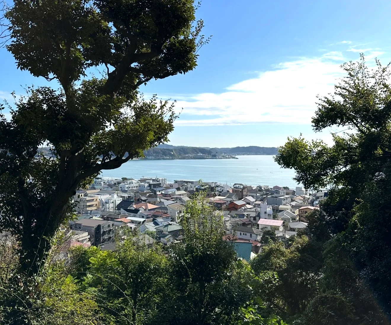 Kamakura tour in Kamakura, Hase, Japan — photo 3